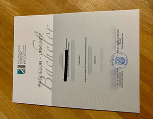 Secure Your Hochschule Koblenz Diploma Copy Safely