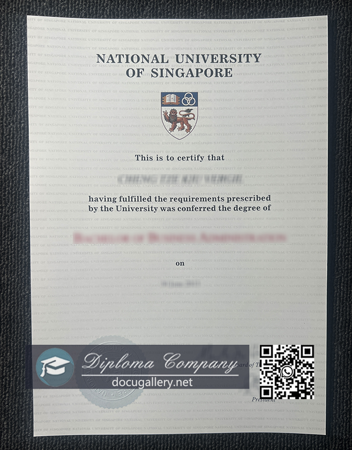 National University Of Singapore diploma