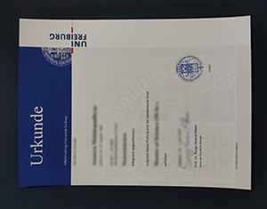 Premium University of Freiburg Degree Solutions for International Students