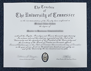 University of Tennessee Diploma Copy Options | Secure Handling and Professional Standards