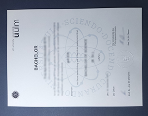 High-Quality University of Ulm Diploma Replica: Exact Match Details