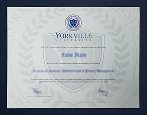 Yorkville University Diploma Copy – Secure Verified Duplicate